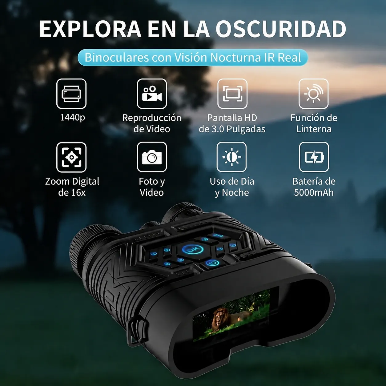 Vista 6